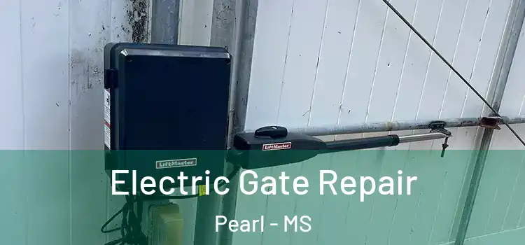 Electric Gate Repair Pearl - MS