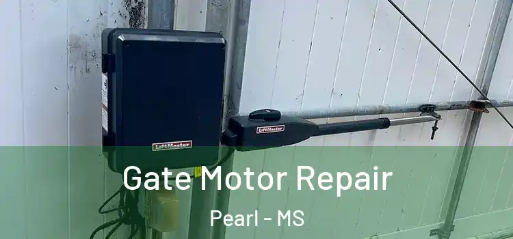 Gate Motor Repair Pearl - MS