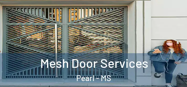 Mesh Door Services Pearl - MS