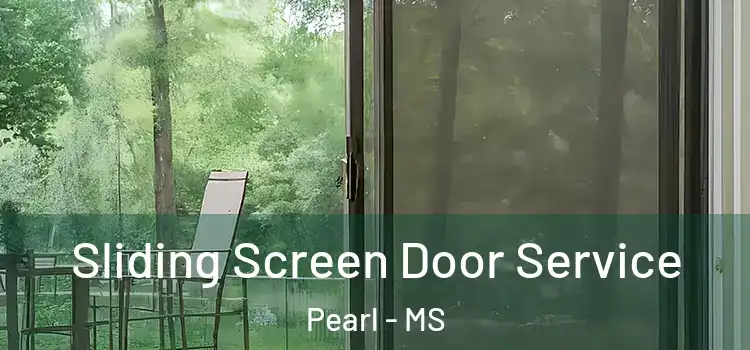 Sliding Screen Door Service Pearl - MS
